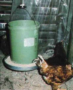 Hanging Chicken Feeder Image
